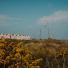 Braye Beach - Alderney