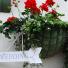 Wedding Flower Basket, The Georgian House Alderney