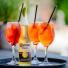 The Garden Bar Drinks